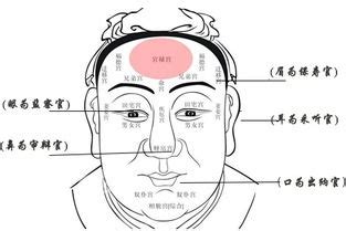 人中明顯面相|閱人三十六術之人中